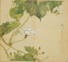 瓠葉典故