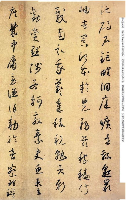 張旭典故