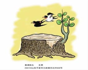 比翼雙飛,典故