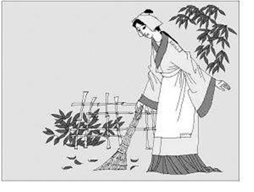 種的典故
