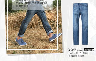 李維斯典故
