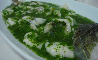 鱸魚(yú)莼菜的典故