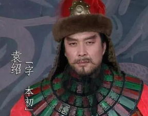 袁紹典故
