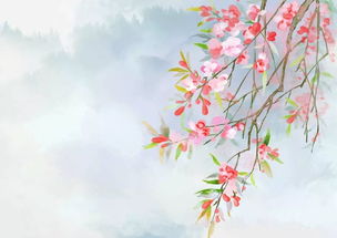 與海棠有關(guān)的典故,海棠泣血的典故,大魚(yú)海棠的典故