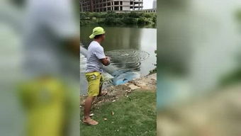 白云孤飛典故