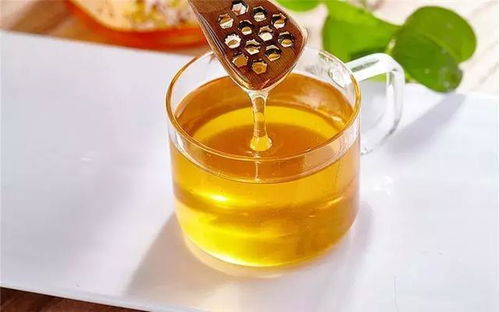 蜂蜜典故