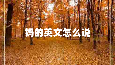 媽的英文怎么說(shuō)