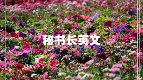秘書(shū)長(cháng)英文