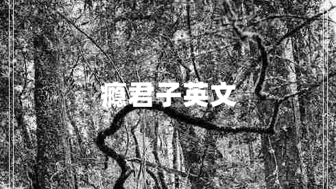癮君子英文