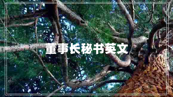 董事長(cháng)秘書(shū)英文