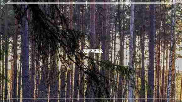 一無(wú)所有英文
