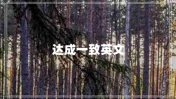 達成一致英文
