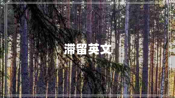 滯留英文