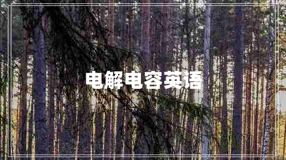 電解電容英語(yǔ)