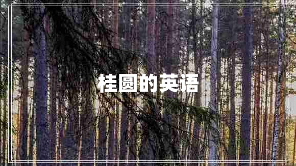 桂圓的英語(yǔ)