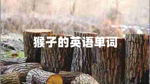 猴子的英語(yǔ)單詞