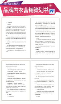 內衣?tīng)I業(yè)推廣策劃方案