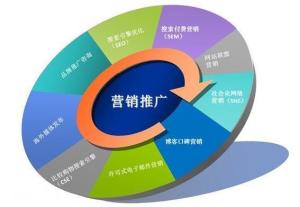 網(wǎng)絡(luò )營(yíng)銷(xiāo)策劃方案模版
