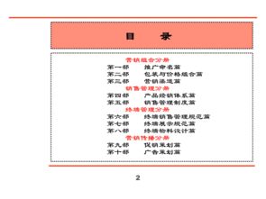 匯源品牌策劃方案