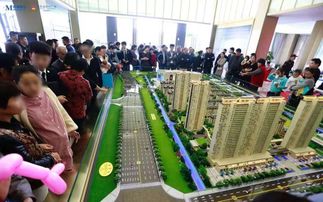 成都高新國際廣場(chǎng)營(yíng)銷(xiāo)策劃方案