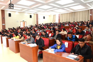 學(xué)校如何迎評方案策劃