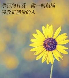 給自己加油正能量句子