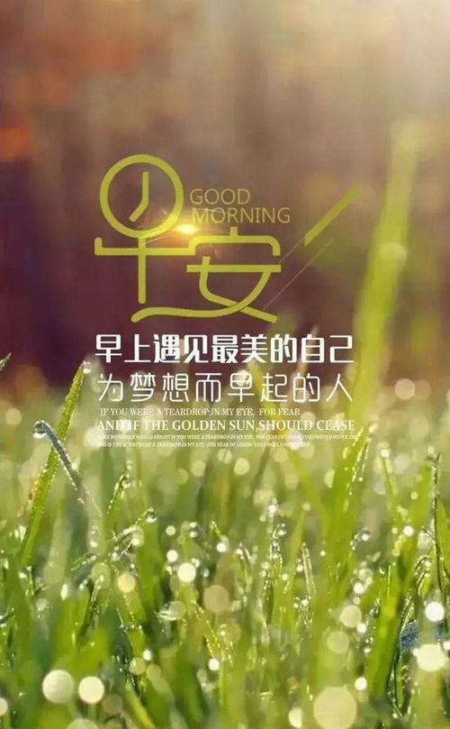 發(fā)朋友圈早安的句子正能量短句,發(fā)朋友圈早安的正能量句子和,早安的朋友圈句子大全正能量