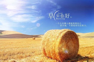 日久見(jiàn)人心,句子,能量