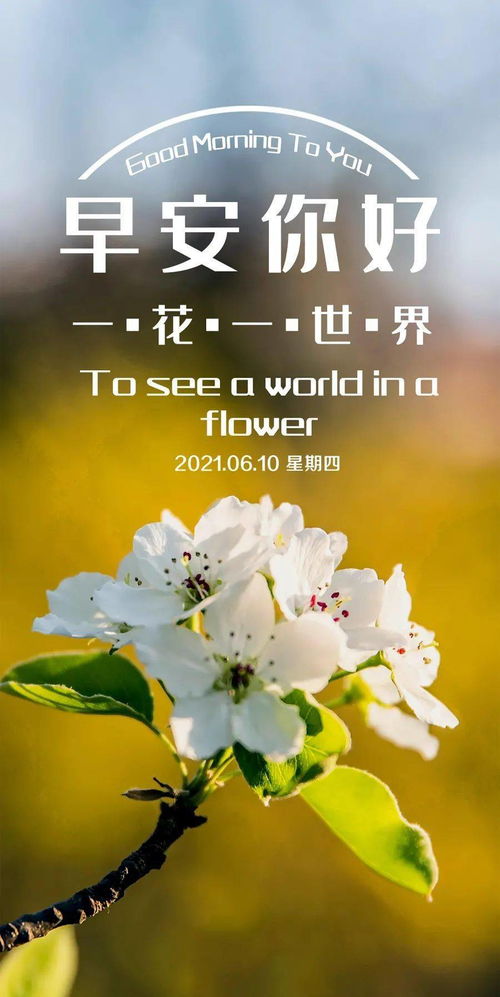 適合早上正能量的短句子,適合早上的句子正能量的,早上滿滿的正能量句子