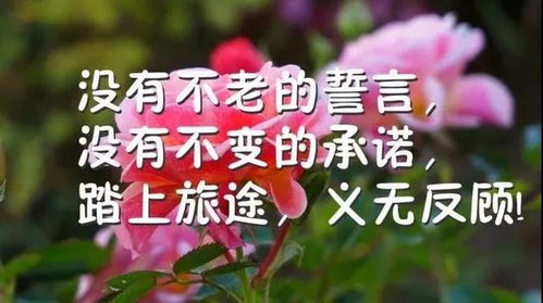 關(guān)于早上好的正能量的句子經(jīng)典語(yǔ)錄