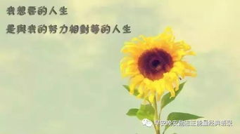早安,句子,勵志,心語