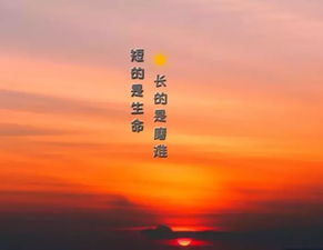 句子,情義,能量