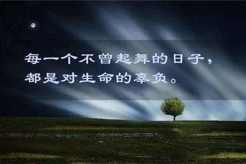 友誼正能量朋友圈句子
