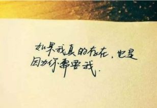 每天工作的正能量的句子