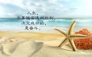 早晨正能量的句子經(jīng)典短句