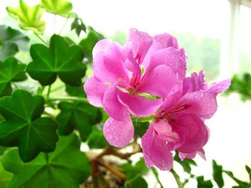 發(fā)圈正能量的句子簡(jiǎn)短早晨