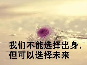每天勵(lì)志正能量的句子大全,正能量句子勵(lì)志大全,幼兒園勵(lì)志句子大全正能量