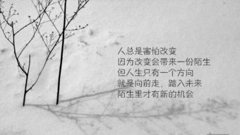 人生哲理的句子精辟正能量