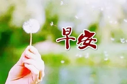 陽(yáng)光善良正能量的句子說(shuō)說(shuō)心情,陽(yáng)光微笑正能量的句子說(shuō)說(shuō)心情,陽(yáng)光快樂(lè )正能量句子說(shuō)說(shuō)心情