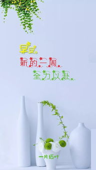 勵志奮斗正能量的句子,奮斗創(chuàng)業(yè)正能量的句子,努力奮斗的朋友圈正能量的句子