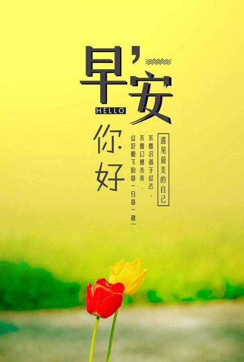 早安正能量句子勵志