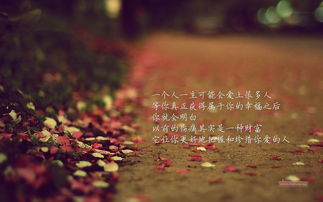 句子,關(guān)愛(ài),能量,老人