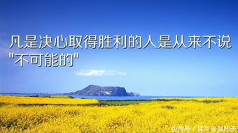 人心,句子,激勵,能量