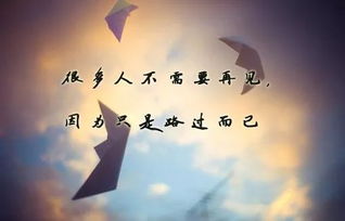 簡短,句子,能量,心情