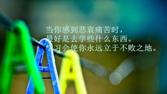 朋友圈晚安正能量的句子,早上男人發(fā)朋友圈的正能量句子和,朋友圈正能量句子人人點(diǎn)贊最高