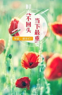早安,句子,能量,扎心正