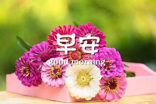 早安幽默正能量的句子說(shuō)說(shuō)心情,霸氣正能量的早安說(shuō)說(shuō)句子,早安正能量的句子說(shuō)說(shuō)2021年