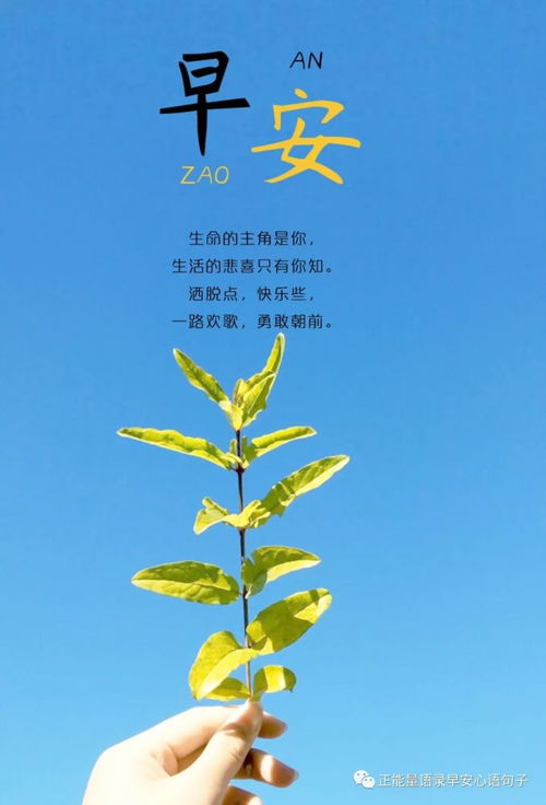 早安,上進(jìn),句子,激勵