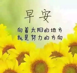 早安積極正能量的句子配上一束花發(fā)朋友圈真實(shí)效果圖,早安積極正能量的句子和發(fā)朋友圈,早安積極正能量的句子加