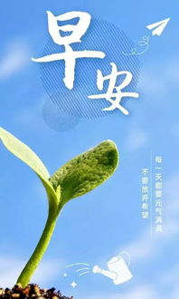 句子,追逐,能量,陽(yáng)光
